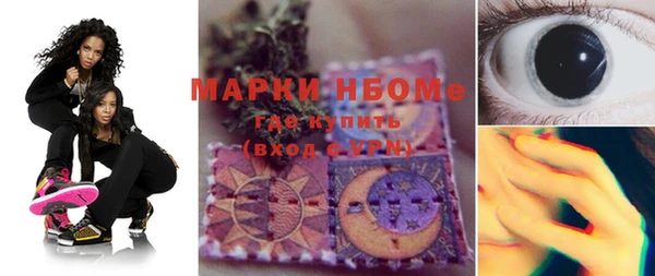 apvp Алзамай