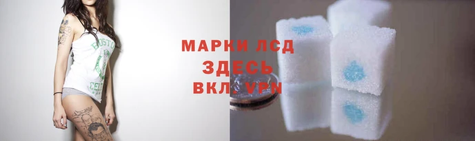 ГАЛЛЮЦИНОГЕННЫЕ ГРИБЫ Алексеевка