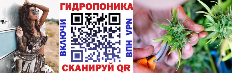 Бошки Шишки конопля  что такое   Адыгейск 